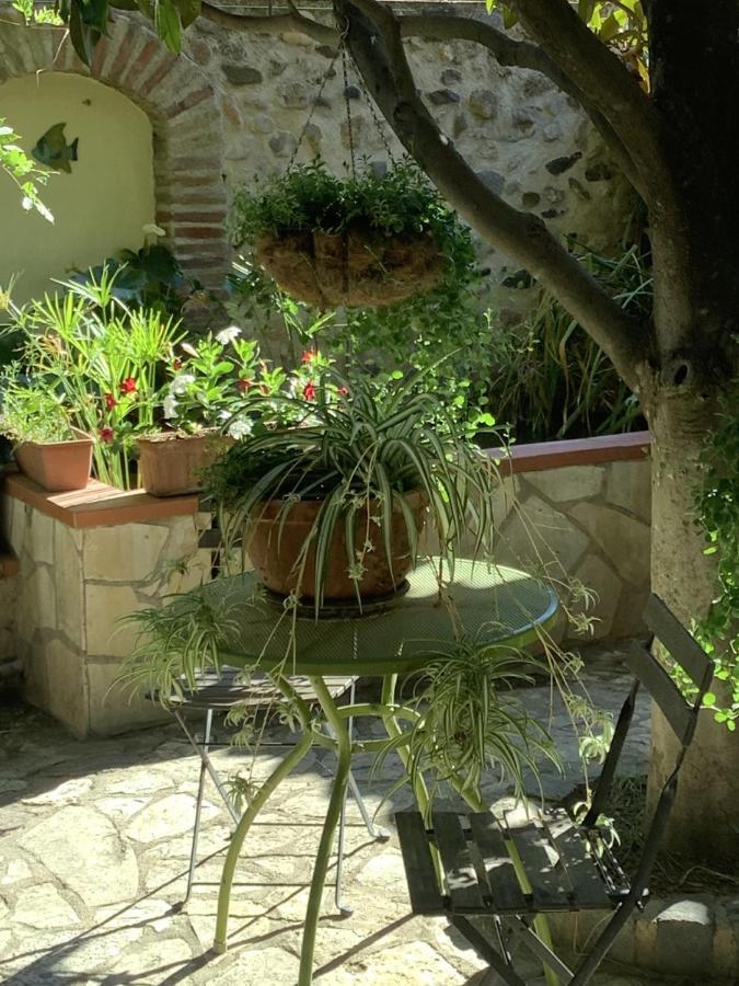 Vila Mas Grandiflora Espira-de-l'Agly Exteriér fotografie